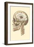 Interior of Cranium-null-Framed Art Print