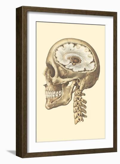 Interior of Cranium-null-Framed Art Print