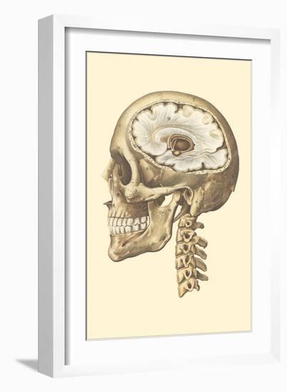 Interior of Cranium-null-Framed Art Print