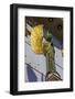 Interior of Kirche Am Steinhof (Church of St. Leopold)-Neil Farrin-Framed Photographic Print