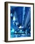 Interior of Kyoto Station-null-Framed Photographic Print