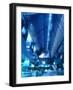 Interior of Kyoto Station-null-Framed Photographic Print