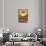 Interior of Latvian National Opera Building, Riga, Latvia, Baltic States, Europe-Ben Pipe-Framed Stretched Canvas displayed on a wall