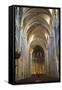 Interior of Lausanne Cathedral, Lausanne, Vaud, Switzerland, Europe-Ian Trower-Framed Stretched Canvas