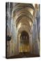 Interior of Lausanne Cathedral, Lausanne, Vaud, Switzerland, Europe-Ian Trower-Stretched Canvas