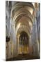 Interior of Lausanne Cathedral, Lausanne, Vaud, Switzerland, Europe-Ian Trower-Mounted Photographic Print