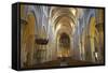 Interior of Lausanne Cathedral, Lausanne, Vaud, Switzerland, Europe-Ian Trower-Framed Stretched Canvas