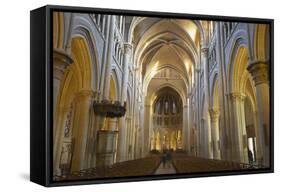 Interior of Lausanne Cathedral, Lausanne, Vaud, Switzerland, Europe-Ian Trower-Framed Stretched Canvas