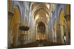 Interior of Lausanne Cathedral, Lausanne, Vaud, Switzerland, Europe-Ian Trower-Mounted Photographic Print