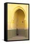 Interior of Mausoleum of Moulay Ismail, Meknes, Morocco, North Africa, Africa-Neil-Framed Stretched Canvas