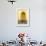 Interior of Mausoleum of Moulay Ismail, Meknes, Morocco, North Africa, Africa-Neil-Framed Photographic Print displayed on a wall