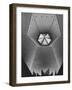 Interior of North Christian Church Designed by Eero Saarinen-John Loengard-Framed Photographic Print