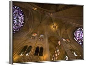 Interior of Notre Dame Cathedral, Paris, France-Jim Zuckerman-Framed Photographic Print