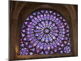 Interior of Notre Dame Cathedral, Paris, France-Jim Zuckerman-Mounted Photographic Print