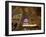 Interior of Notre Dame Cathedral, Paris, France-Jim Zuckerman-Framed Photographic Print