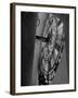 Interior of Parliament's Clock Tower-Hans Wild-Framed Photographic Print