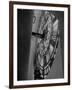 Interior of Parliament's Clock Tower-Hans Wild-Framed Photographic Print