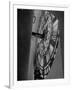 Interior of Parliament's Clock Tower-Hans Wild-Framed Photographic Print