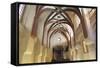 Interior of Pinkas Synagogue-null-Framed Stretched Canvas