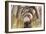 Interior of Pinkas Synagogue-null-Framed Photographic Print