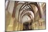 Interior of Pinkas Synagogue-null-Mounted Photographic Print