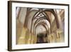 Interior of Pinkas Synagogue-null-Framed Photographic Print