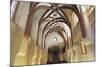 Interior of Pinkas Synagogue-null-Mounted Photographic Print