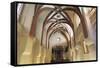 Interior of Pinkas Synagogue-null-Framed Stretched Canvas