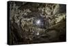 Interior of Polovragi Cave, Romania-paulmalaianu-Stretched Canvas