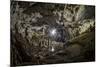 Interior of Polovragi Cave, Romania-paulmalaianu-Mounted Photographic Print