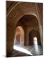 Interior of Red Sandstone Mosque at the Taj Mahal, Agra, Uttar Pradesh-Annie Owen-Mounted Photographic Print