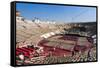 Interior of Roman Arena, Verona, UNESCO World Heritage Site, Veneto, Italy, Europe-Nico-Framed Stretched Canvas