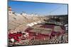 Interior of Roman Arena, Verona, UNESCO World Heritage Site, Veneto, Italy, Europe-Nico-Mounted Photographic Print