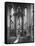 Interior of Rouen Cathedral, France, 1937-Martin Hurlimann-Framed Stretched Canvas