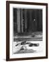 Interior of Saint-Eloi Church in Dunkirk, 1915-Jacques Moreau-Framed Photographic Print