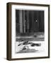 Interior of Saint-Eloi Church in Dunkirk, 1915-Jacques Moreau-Framed Photographic Print