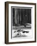 Interior of Saint-Eloi Church in Dunkirk, 1915-Jacques Moreau-Framed Photographic Print