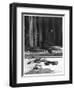 Interior of Saint-Eloi Church in Dunkirk, 1915-Jacques Moreau-Framed Photographic Print