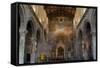 Interior of Santa Maria Maggiore Church, Tuscania, Viterbo Province, Latium, Italy, Europe-Nico Tondini-Framed Stretched Canvas