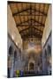 Interior of Santa Maria Maggiore Church, Tuscania, Viterbo Province, Latium, Italy, Europe-Nico Tondini-Mounted Photographic Print