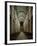 Interior of Speyer Cathedral-null-Framed Giclee Print