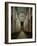 Interior of Speyer Cathedral-null-Framed Giclee Print