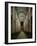 Interior of Speyer Cathedral-null-Framed Giclee Print