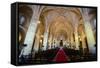 Interior of the Cathedral Primada De America, Old Town, Santo Domingo-Michael Runkel-Framed Stretched Canvas