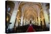 Interior of the Cathedral Primada De America, Old Town, Santo Domingo-Michael Runkel-Stretched Canvas