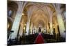 Interior of the Cathedral Primada De America, Old Town, Santo Domingo-Michael Runkel-Mounted Photographic Print