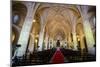 Interior of the Cathedral Primada De America, Old Town, Santo Domingo-Michael Runkel-Mounted Photographic Print