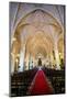 Interior of the Cathedral Primada De America, Old Town, Santo Domingo-Michael Runkel-Mounted Photographic Print