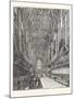 Interior of the Choir of York Minster-null-Mounted Giclee Print