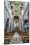 Interior of the Church of Saint Mary of Gesu (Chiesa Del Gesu) (Casa Professa)-Matthew Williams-Ellis-Mounted Photographic Print